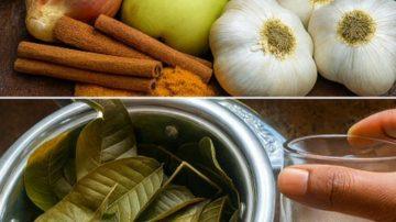 Water Yam Leaves: The Overlooked Secret for Fertility and Vitality