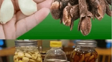 Water Yam Leaves: The Overlooked Secret for Fertility and Vitality